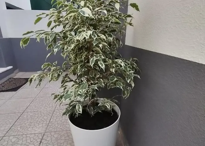 Apartmán Hortasol A *