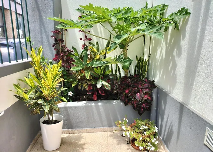 Hortasol A * Funchal (Madeira)
